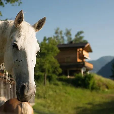 Holiday park Ferienhaus Oetztal